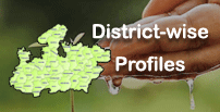 District Profile